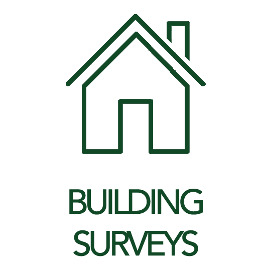RICS Building Surveys