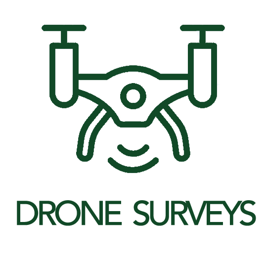 Drone Survey