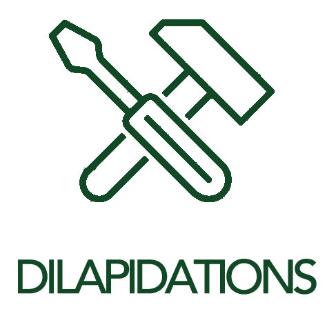 Dilapidations Survey
