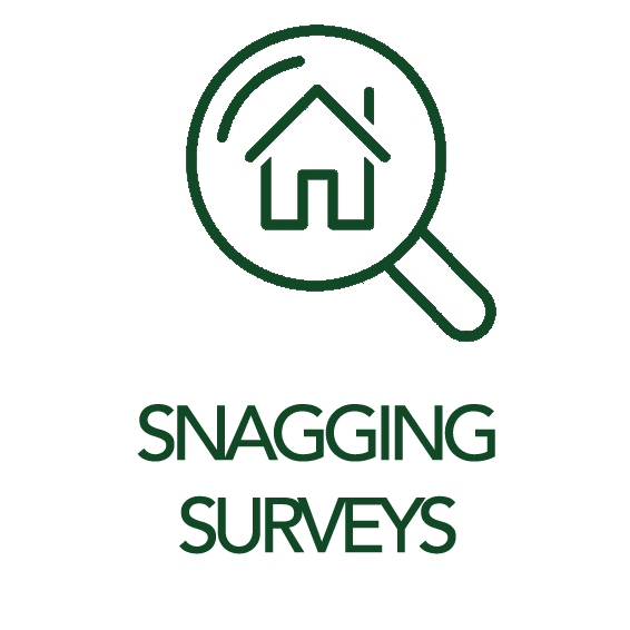 Snagging Surveys